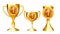 Champion Golden Cups Award Collection Set Vector