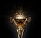 Champion golden trophy on black background