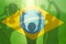 Champion Winning Football Players Brazilian Flag