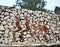 Chandigarh, India - January 4, 2015: Rock statues at the rock garden in Chandigarh, India.