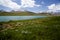 Chandratal Lake in Spiti