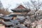 Changdeok gung palace from top