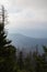 Changing Environment at Clingmans Dome