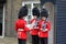 Changing of the Guard London England