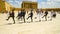 Changing of the guard at the mausoleum of Mustafa Kemal Ataturk. Ankara. Turkey