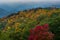 Changing Leaves on Rounded Mountain