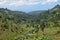 Chania River in Aberdare Ranges, Kenya