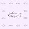 channel catfish icon. Fish icons universal set for web and mobile