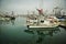 Channel Islands Harbor Marina Oxnard California  boats