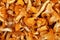 Chanterelle edible mushrooms at retail display