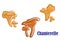 Chanterelle mushroom icons