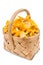 Chanterelle mushrooms in basket