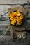 Chanterelle mushrooms picked in bowls