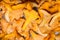 Chanterelles