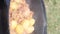 Chanterelles stewed with potatoes. Prepared in a cauldron over an open fire. The chef adds spices. vertical video