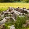 Chaotic pile of firewood logs lying