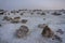 Chaotically lying stones in the limestone dusty desert of Kazakhstan