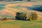 Chapel Amidst Moravian Splendor: A Hidden Sanctuary