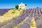 Chapel with lavender field