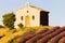 Chapel with lavender field