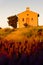 chapel with lavender field, Plateau de Valensole, Provence, Fran