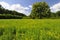 Chapel on the meadow