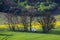 The chapel of st. Barbara, South Moravia