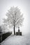 Chapel under a snowy tree in winter