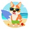 The character cartoon of corgi dog. summer theme in the cute flat vector