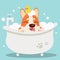 The character cute corgi dog taking a bath with bathtub.it look very happy .The corgi dog sitting in the bathtub with yellow