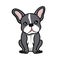 Character design of cute french bulldog.