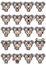 character set cute koala animal bundle