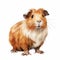 Characterful Guinea Pig Illustration In The Style Of Willem Haenraets