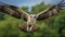 Characterful Osprey In Flight: Captivating Nature Photography