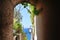 Characteristic alley in Positano town, Amalfi coast, Italy