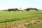 Characteristic farm with horses in Dutch polder, Netherlands