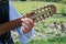 Charango - bolivian guitar.