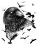 Charcoal crow drawing.Flying birds. Hand drawn raven. - Illustration