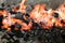A charcoal fire in a Charcoal kettle grilling usually used for grilling meat and marinated beef meat on skewers like kebab and