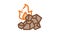 charcoal for fire Icon Animation