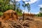 Charcoal furnace on the eucalyptus farm