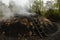 Charcoal making in the forests of Istanbul