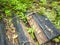 Charcoal beside the walkway to the top of Khao Luang mountain in Ramkhamhaeng National Park,