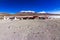 Charcota Lagoon at Bolivian Altiplano in the way to Uyuni Saltflats, Bolivia