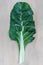 Chard Leaf