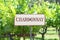 Chardonnay Grapes Sign