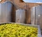 Chardonnay winemaking with grapes and tanks