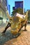 Charging Bull