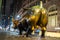 Charging Bull in New York