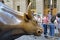 Charging Bull, sometimes referred to as Bull of Wall Street or Bowling Green Bull, bronze sculpture that stands on Broadway in Fin